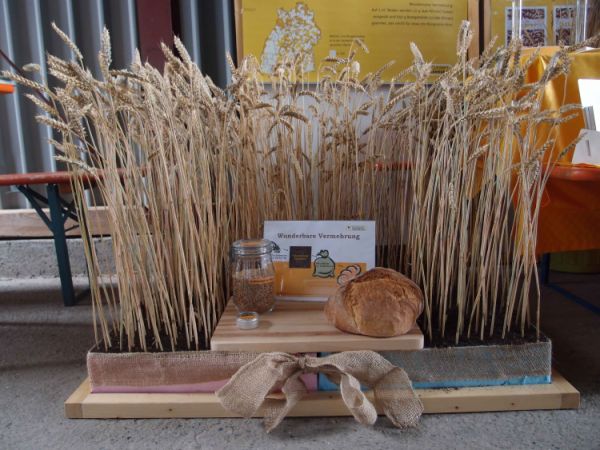 LRARW_Blickpunkt_Brot004.jpg
