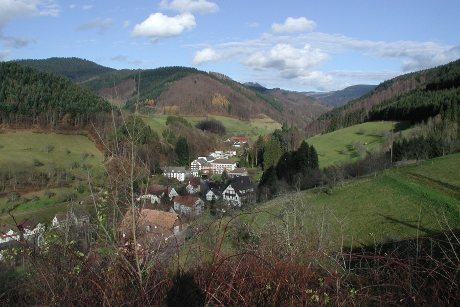 Siedlung in einem engen Tal zwischen Grünland und Wald